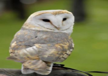 Airport Transfers in Andover, UK