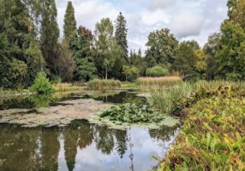 Airport Transfers in Andover, UK