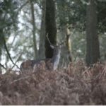 Airport Transfers in Southampton, UK