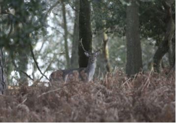 Airport Transfers in Southampton, UK