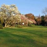 Airport Transfers in Southampton, UK