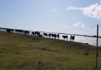 Airport Transfers in Havant, UK