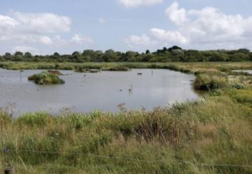 Airport Transfers in Fareham, UK